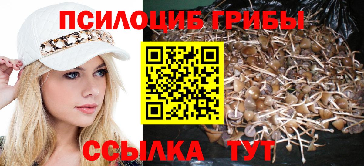 Псилоцибиновые грибы ЛСД Видное
